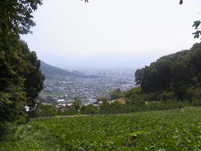 愛宕山からの眺め